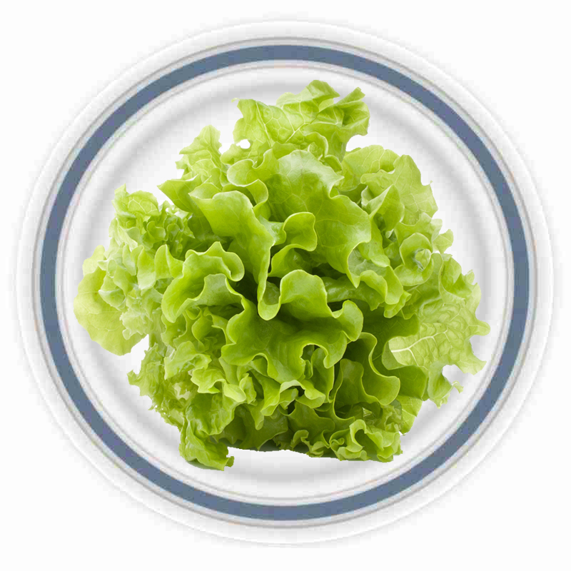 花叶生菜 500g 绿萝莎 新鲜蔬菜 西餐配料 蔬菜沙拉日天 生鲜图片